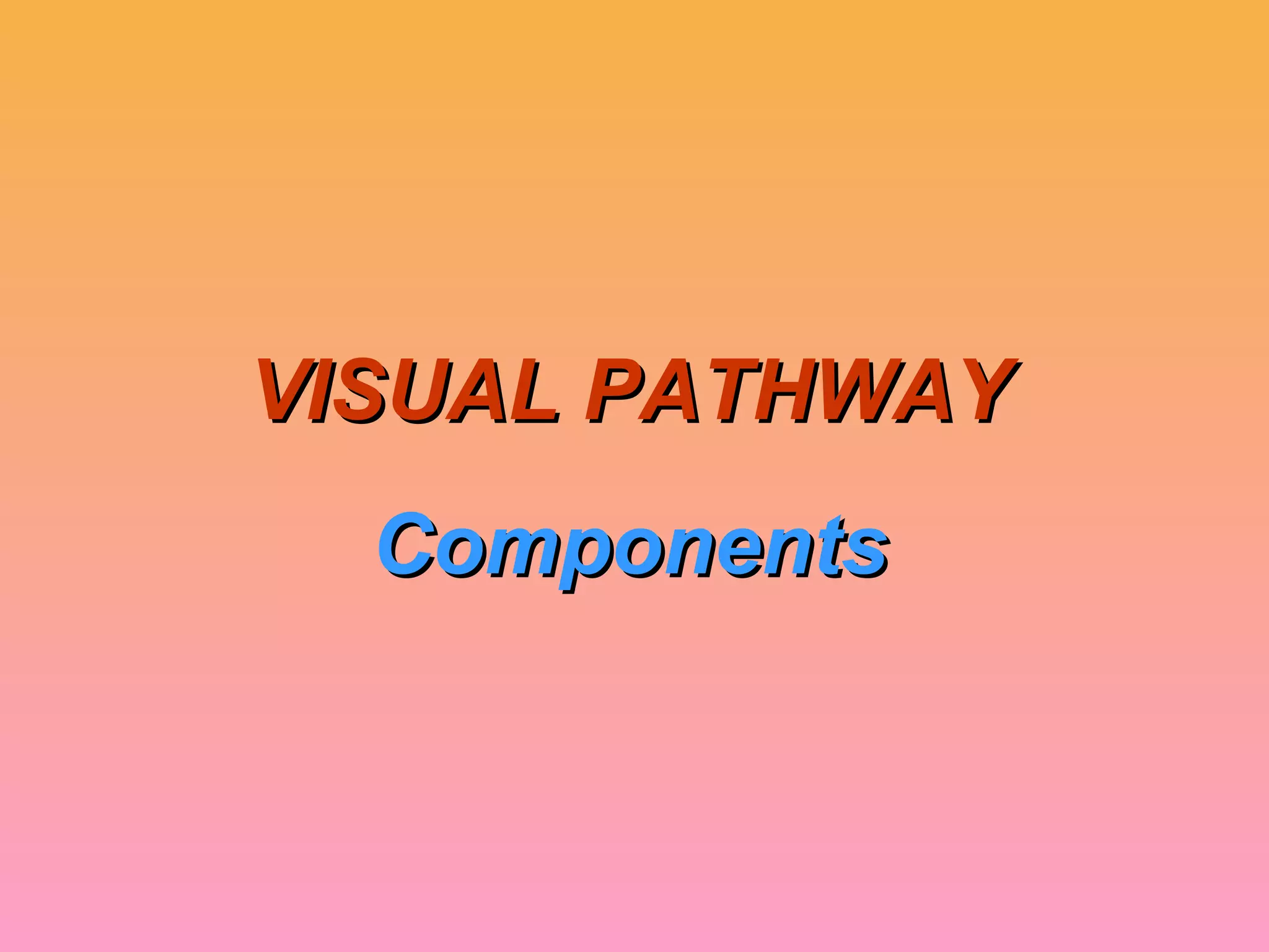 VISUAL PATHWAYVISUAL PATHWAY
ComponentsComponents
 