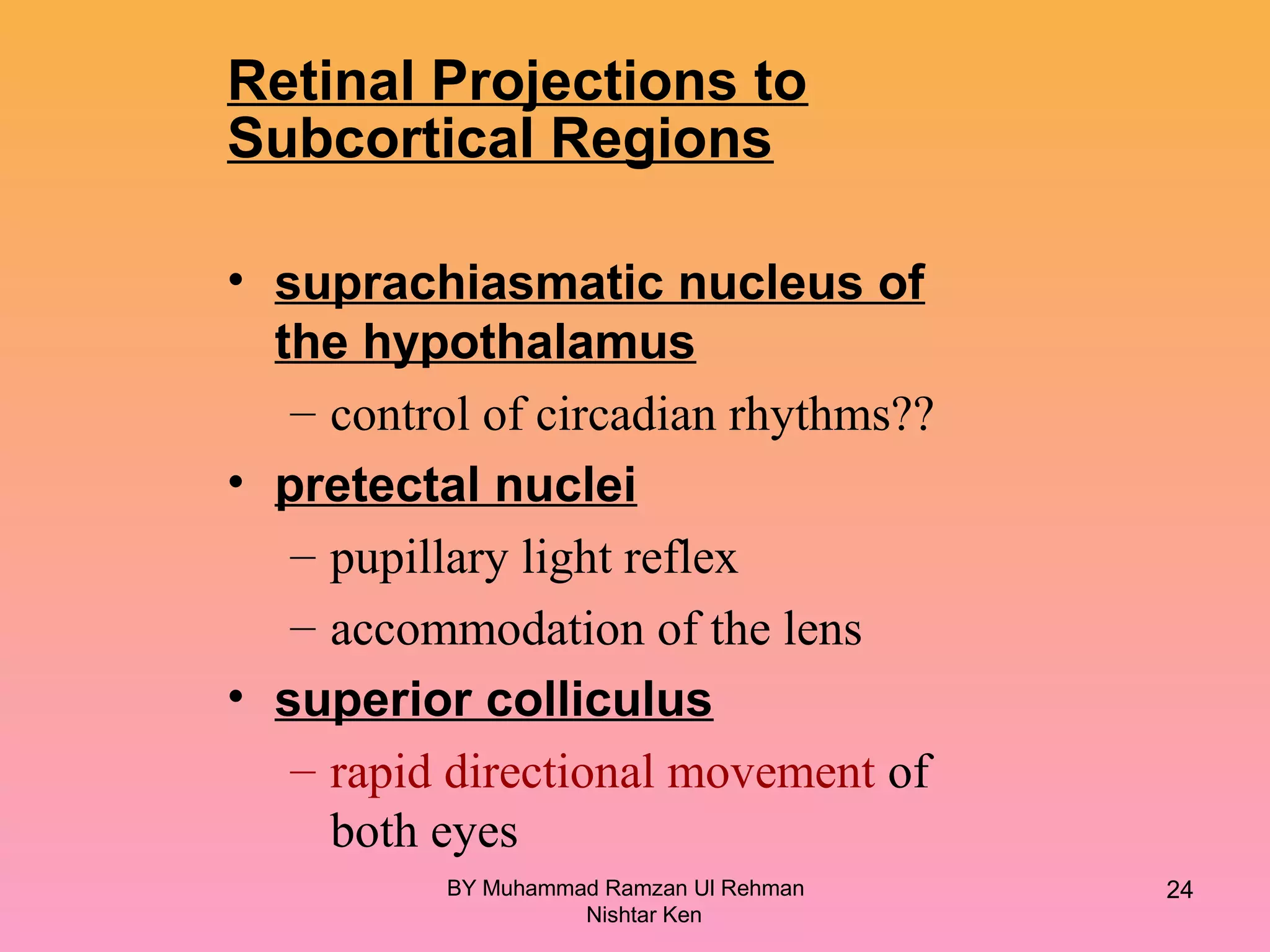 Retinal Projections to
Subcortical Regions
• suprachiasmatic nucleus of
the hypothalamus
– control of circadian rhythms??
• pretectal nuclei
– pupillary light reflex
– accommodation of the lens
• superior colliculus
– rapid directional movement of
both eyes
BY Muhammad Ramzan Ul Rehman
Nishtar Ken
24
 