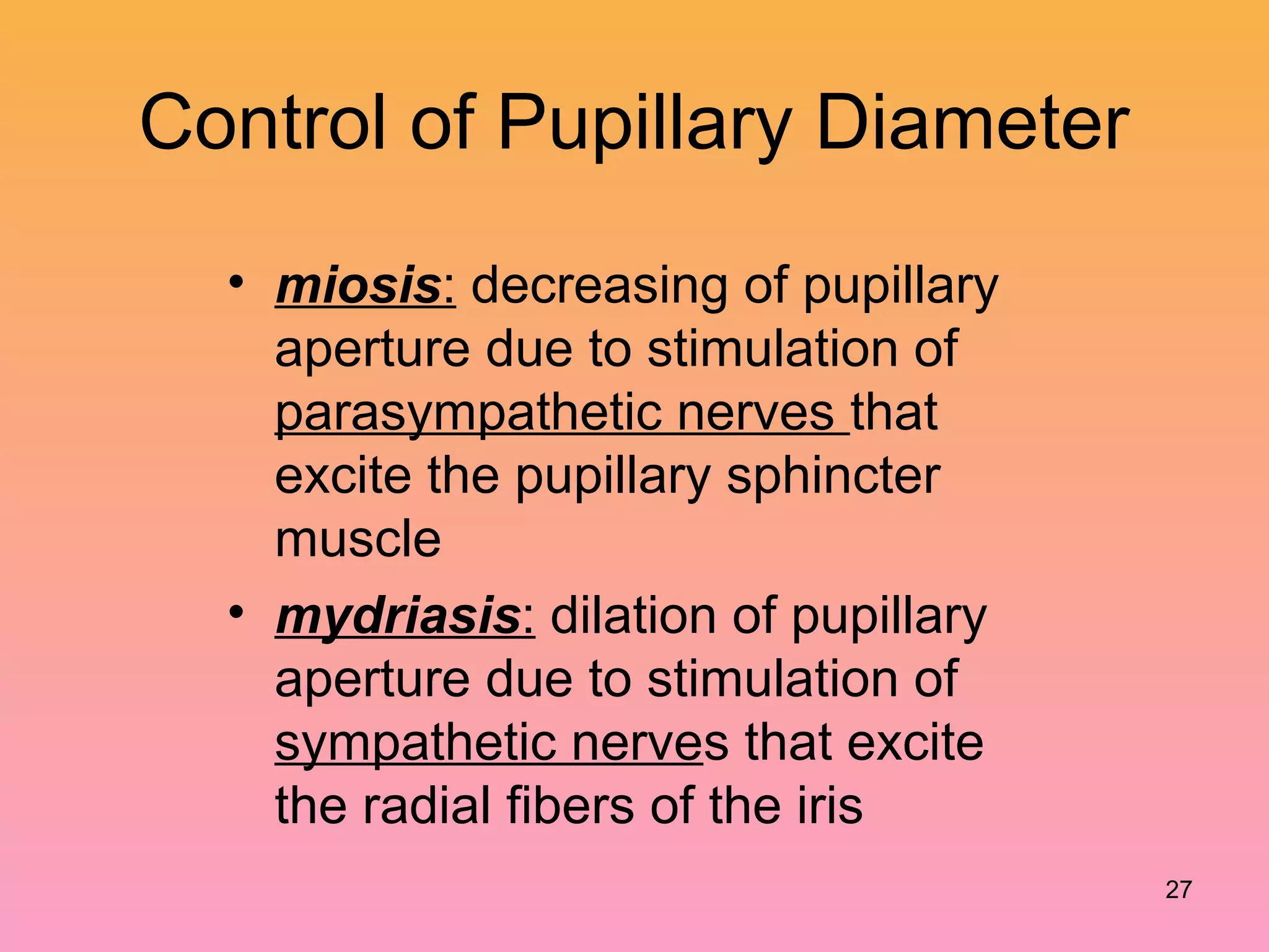 Control of Pupillary Diameter
• miosis: decreasing of pupillary
aperture due to stimulation of
parasympathetic nerves that
excite the pupillary sphincter
muscle
• mydriasis: dilation of pupillary
aperture due to stimulation of
sympathetic nerves that excite
the radial fibers of the iris
27
 