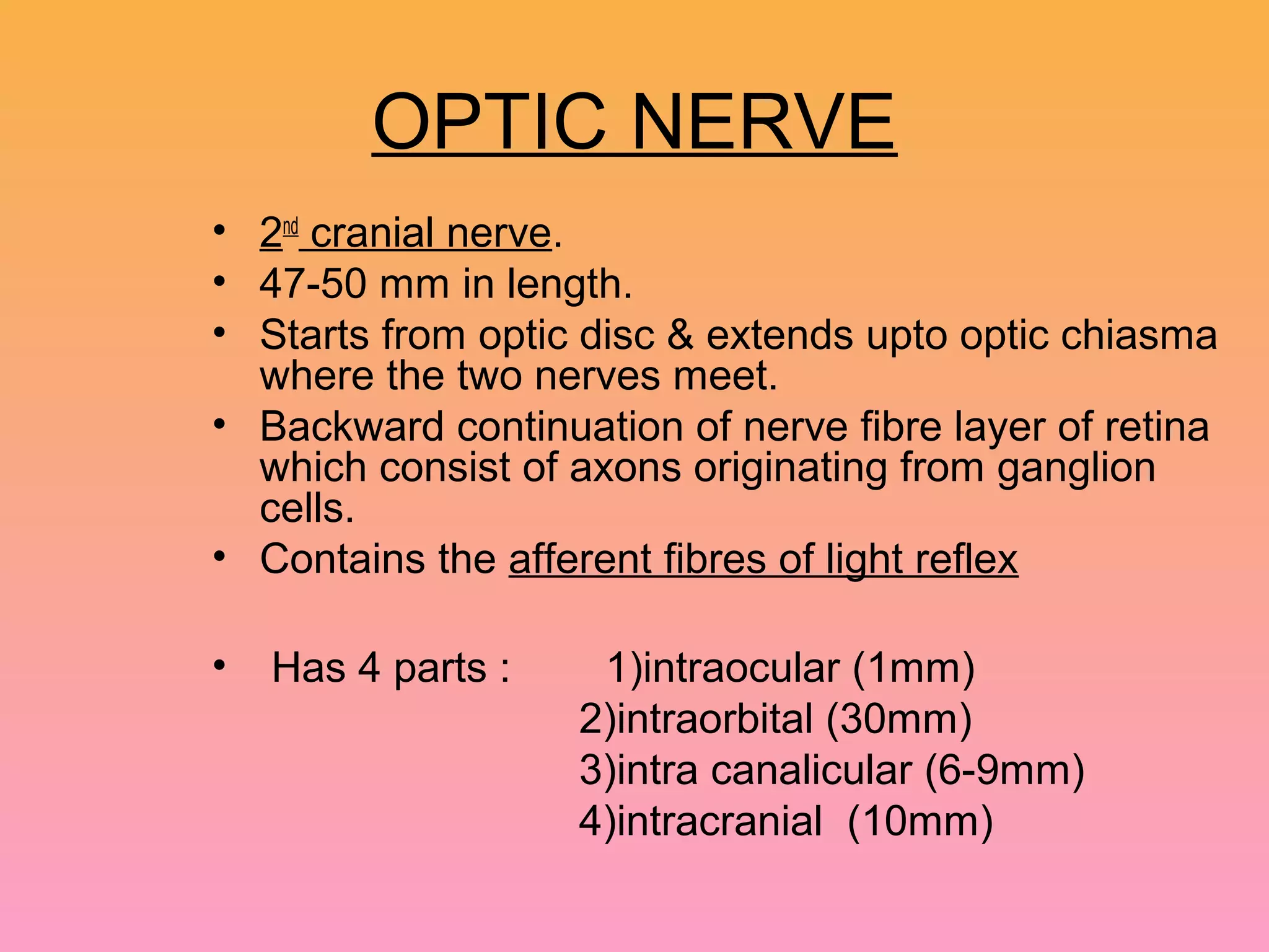 OPTIC NERVE
• 2nd
cranial nerve.
• 47-50 mm in length.
• Starts from optic disc & extends upto optic chiasma
where the two nerves meet.
• Backward continuation of nerve fibre layer of retina
which consist of axons originating from ganglion
cells.
• Contains the afferent fibres of light reflex
• Has 4 parts : 1)intraocular (1mm)
2)intraorbital (30mm)
3)intra canalicular (6-9mm)
4)intracranial (10mm)
 
