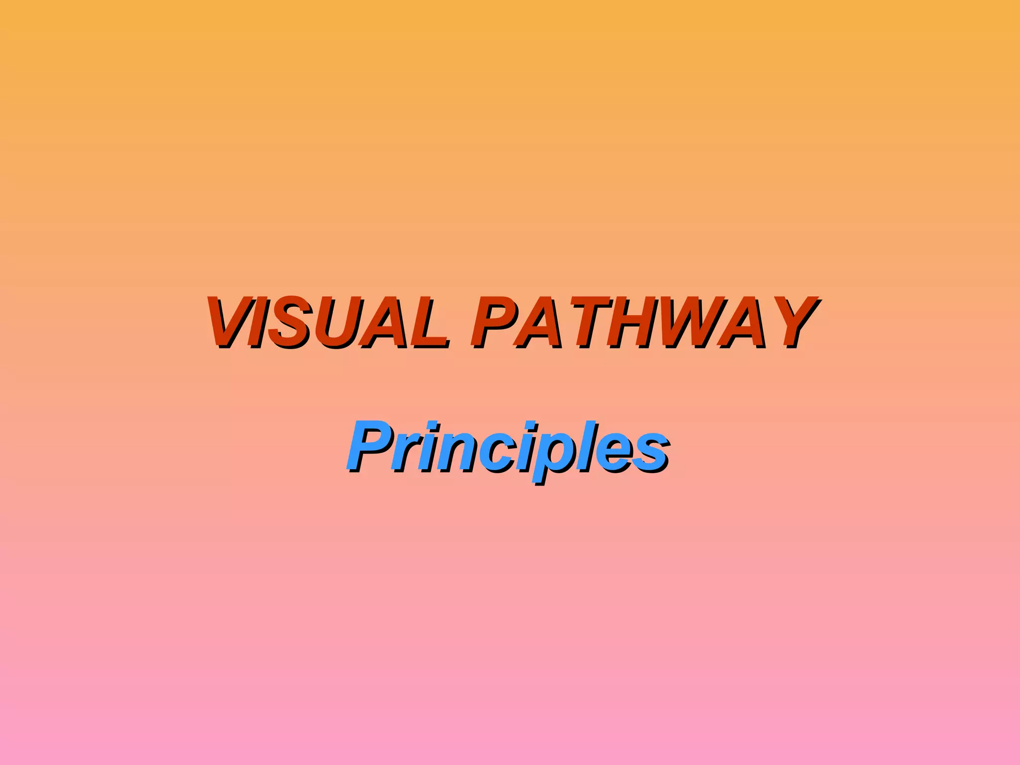 VISUAL PATHWAYVISUAL PATHWAY
PrinciplesPrinciples
 