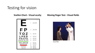Cranial Nerve II and Visual Pathways.pptx