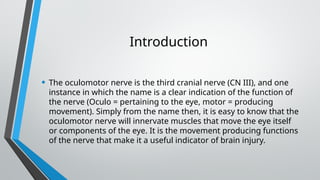 Notes of Cranial Nerve: III, IV, VI.pptx