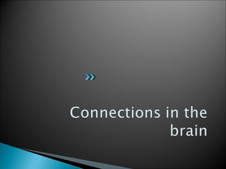 Cranial nerve nuclei | PPT