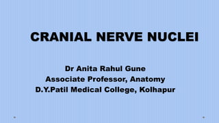 CRANIAL NERVE NUCLEI
Dr Anita Rahul Gune
Associate Professor, Anatomy
D.Y.Patil Medical College, Kolhapur
 