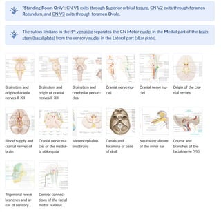 Cnv3 Course Cranial nerve palsies (I-XII) - AMBOSS.pdf