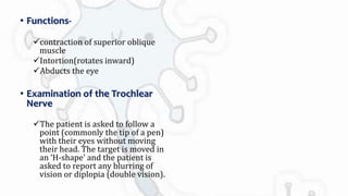 Intortion Cranial nerves 1 | PPTX