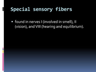 Special sensory fibers

 found in nerves I (involved in smell), II
  (vision), and VIII (hearing and equilibrium).
 