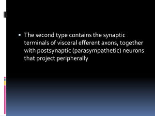  The second type contains the synaptic
  terminals of visceral efferent axons, together
  with postsynaptic (parasympathetic) neurons
  that project peripherally
 