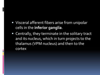  Visceral afferent fibers arise from unipolar
  cells in the inferior ganglia.
 Centrally, they terminate in the solitary tract
  and its nucleus, which in turn projects to the
  thalamus (VPM nucleus) and then to the
  cortex
 