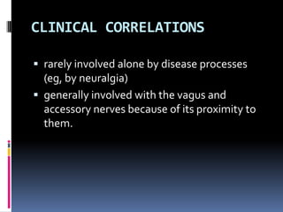 CLINICAL CORRELATIONS

 rarely involved alone by disease processes
  (eg, by neuralgia)
 generally involved with the vagus and
  accessory nerves because of its proximity to
  them.
 