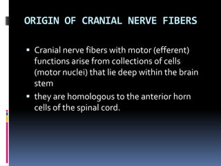 ORIGIN OF CRANIAL NERVE FIBERS

 Cranial nerve fibers with motor (efferent)
  functions arise from collections of cells
  (motor nuclei) that lie deep within the brain
  stem
 they are homologous to the anterior horn
  cells of the spinal cord.
 