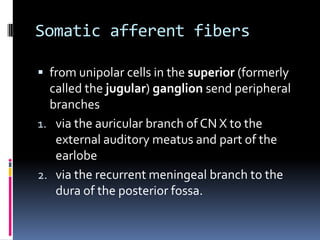 Somatic afferent fibers

 from unipolar cells in the superior (formerly
  called the jugular) ganglion send peripheral
  branches
1. via the auricular branch of CN X to the
   external auditory meatus and part of the
   earlobe
2. via the recurrent meningeal branch to the
   dura of the posterior fossa.
 