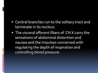  Central branches run to the solitary tract and
  terminate in its nucleus.
 The visceral afferent fibers of CN X carry the
  sensations of abdominal distention and
  nausea and the impulses concerned with
  regulating the depth of respiration and
  controlling blood pressure.
 