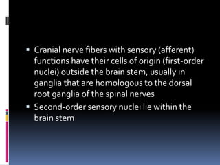  Cranial nerve fibers with sensory (afferent)
  functions have their cells of origin (first-order
  nuclei) outside the brain stem, usually in
  ganglia that are homologous to the dorsal
  root ganglia of the spinal nerves
 Second-order sensory nuclei lie within the
  brain stem
 