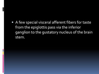  A few special visceral afferent fibers for taste
  from the epiglottis pass via the inferior
  ganglion to the gustatory nucleus of the brain
  stem.
 