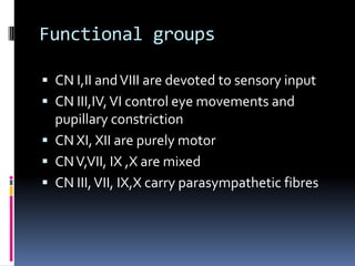 Functional groups

 CN I,II and VIII are devoted to sensory input
 CN III,IV, VI control eye movements and
  pupillary constriction
 CN XI, XII are purely motor
 CN V,VII, IX ,X are mixed
 CN III, VII, IX,X carry parasympathetic fibres
 