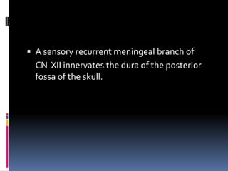  A sensory recurrent meningeal branch of
  CN XII innervates the dura of the posterior
  fossa of the skull.
 