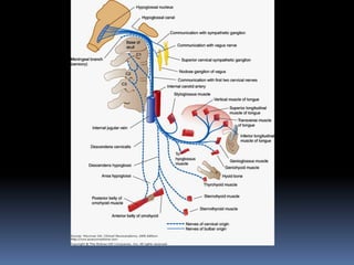 Cranial nerves by DR.ARSHAD