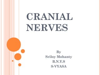 CRANIAL
NERVES

         By
  Sriloy Mohanty
      B.N.Y.S
     S-VYASA
 