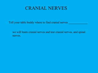 CRANIAL NERVES
Tell your table buddy where to find cranial nerves _____________
we will learn cranial nerves and test cranial nerves, and spinal
nerves.
 