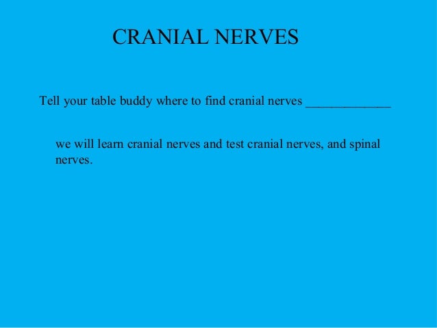 Cranialnerves