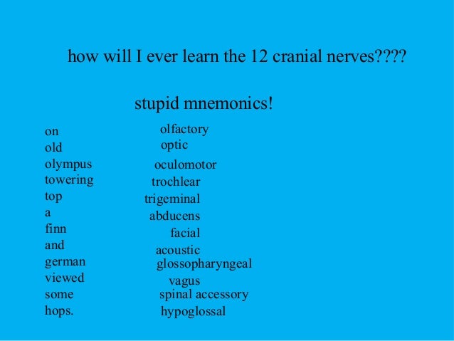 Cranialnerves Cranialnerves