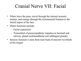 Cranial Nerve VII: Facial 
• Fibers leave the pons, travel through the internal acoustic 
meatus, and emerge through the stylomastoid foramen to the 
lateral aspect of the face 
• Motor functions include; 
– Facial expression 
– Transmittal of parasympathetic impulses to lacrimal and 
salivary glands (submandibular and sublingual glands) 
• Sensory function is taste from taste buds of anterior two-thirds 
of the tongue 
 