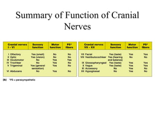 Summary of Function of Cranial 
Nerves 
 