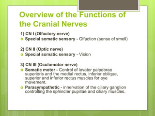 Cranial nerves | PPTX