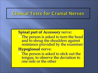 Cranial nerves | PPT