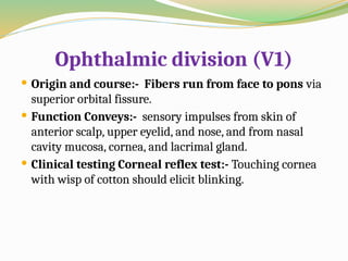 Ophthalmic division (V1)
 Origin and course:- Fibers run from face to pons via
superior orbital fissure.
 Function Conveys:- sensory impulses from skin of
anterior scalp, upper eyelid, and nose, and from nasal
cavity mucosa, cornea, and lacrimal gland.
 Clinical testing Corneal reflex test:- Touching cornea
with wisp of cotton should elicit blinking.
 