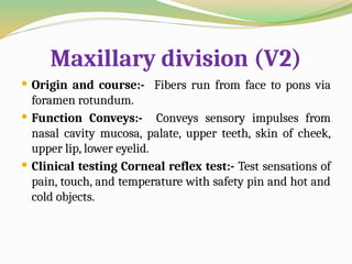 Maxillary division (V2)
 Origin and course:- Fibers run from face to pons via
foramen rotundum.
 Function Conveys:- Conveys sensory impulses from
nasal cavity mucosa, palate, upper teeth, skin of cheek,
upper lip, lower eyelid.
 Clinical testing Corneal reflex test:- Test sensations of
pain, touch, and temperature with safety pin and hot and
cold objects.
 