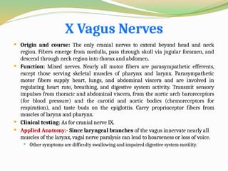 X Vagus Nerves
 Origin and course: The only cranial nerves to extend beyond head and neck
region. Fibers emerge from medulla, pass through skull via jugular foramen, and
descend through neck region into thorax and abdomen.
 Function: Mixed nerves. Nearly all motor fibers are parasympathetic efferents,
except those serving skeletal muscles of pharynx and larynx. Parasympathetic
motor fibers supply heart, lungs, and abdominal viscera and are involved in
regulating heart rate, breathing, and digestive system activity. Transmit sensory
impulses from thoracic and abdominal viscera, from the aortic arch baroreceptors
(for blood pressure) and the carotid and aortic bodies (chemoreceptors for
respiration), and taste buds on the epiglottis. Carry proprioceptor fibers from
muscles of larynx and pharynx.
 Clinical testing: As for cranial nerve IX.
 Applied Anatomy:- Since laryngeal branches of the vagus innervate nearly all
muscles of the larynx, vagal nerve paralysis can lead to hoarseness or loss of voice.
 Other symptoms are difficulty swallowing and impaired digestive system motility.
 