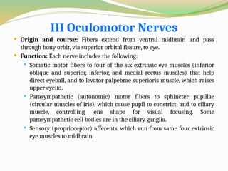 III Oculomotor Nerves
 Origin and course: Fibers extend from ventral midbrain and pass
through bony orbit, via superior orbital fissure, to eye.
 Function: Each nerve includes the following:
 Somatic motor fibers to four of the six extrinsic eye muscles (inferior
oblique and superior, inferior, and medial rectus muscles) that help
direct eyeball, and to levator palpebrae superioris muscle, which raises
upper eyelid.
 Parasympathetic (autonomic) motor fibers to sphincter pupillae
(circular muscles of iris), which cause pupil to constrict, and to ciliary
muscle, controlling lens shape for visual focusing. Some
parasympathetic cell bodies are in the ciliary ganglia.
 Sensory (proprioceptor) afferents, which run from same four extrinsic
eye muscles to midbrain.
 