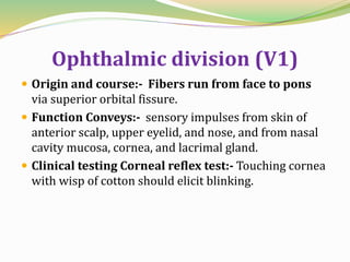 Ophthalmic division (V1)
 Origin and course:- Fibers run from face to pons
via superior orbital fissure.
 Function Conveys:- sensory impulses from skin of
anterior scalp, upper eyelid, and nose, and from nasal
cavity mucosa, cornea, and lacrimal gland.
 Clinical testing Corneal reflex test:- Touching cornea
with wisp of cotton should elicit blinking.
 
