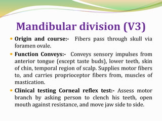 Mandibular division (V3)
 Origin and course:- Fibers pass through skull via
foramen ovale.
 Function Conveys:- Conveys sensory impulses from
anterior tongue (except taste buds), lower teeth, skin
of chin, temporal region of scalp. Supplies motor fibers
to, and carries proprioceptor fibers from, muscles of
mastication.
 Clinical testing Corneal reflex test:- Assess motor
branch by asking person to clench his teeth, open
mouth against resistance, and move jaw side to side.
 