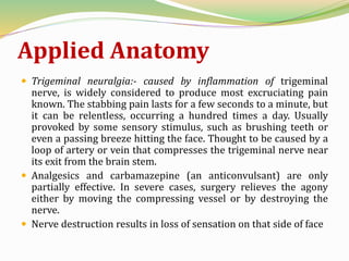 Applied Anatomy
 Trigeminal neuralgia:- caused by inflammation of trigeminal
nerve, is widely considered to produce most excruciating pain
known. The stabbing pain lasts for a few seconds to a minute, but
it can be relentless, occurring a hundred times a day. Usually
provoked by some sensory stimulus, such as brushing teeth or
even a passing breeze hitting the face. Thought to be caused by a
loop of artery or vein that compresses the trigeminal nerve near
its exit from the brain stem.
 Analgesics and carbamazepine (an anticonvulsant) are only
partially effective. In severe cases, surgery relieves the agony
either by moving the compressing vessel or by destroying the
nerve.
 Nerve destruction results in loss of sensation on that side of face
 