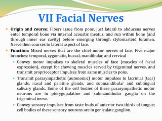 VII Facial Nerves
 Origin and course: Fibers issue from pons, just lateral to abducens nerves
enter temporal bone via internal acoustic meatus, and run within bone (and
through inner ear cavity) before emerging through stylomastoid foramen.
Nerve then courses to lateral aspect of face.
 Function: Mixed nerves that are the chief motor nerves of face. Five major
branches: temporal, zygomatic, buccal, mandibular, and cervical
 Convey motor impulses to skeletal muscles of face (muscles of facial
expression), except for chewing muscles served by trigeminal nerves, and
transmit proprioceptor impulses from same muscles to pons.
 Transmit parasympathetic (autonomic) motor impulses to lacrimal (tear)
glands, nasal and palatine glands, and submandibular and sublingual
salivary glands. Some of the cell bodies of these parasympathetic motor
neurons are in pterygopalatine and submandibular ganglia on the
trigeminal nerve.
 Convey sensory impulses from taste buds of anterior two-thirds of tongue;
cell bodies of these sensory neurons are in geniculate ganglion.
 
