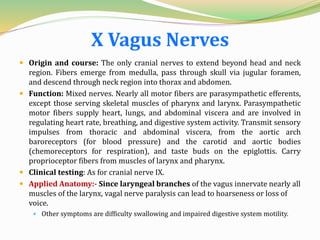 X Vagus Nerves
 Origin and course: The only cranial nerves to extend beyond head and neck
region. Fibers emerge from medulla, pass through skull via jugular foramen,
and descend through neck region into thorax and abdomen.
 Function: Mixed nerves. Nearly all motor fibers are parasympathetic efferents,
except those serving skeletal muscles of pharynx and larynx. Parasympathetic
motor fibers supply heart, lungs, and abdominal viscera and are involved in
regulating heart rate, breathing, and digestive system activity. Transmit sensory
impulses from thoracic and abdominal viscera, from the aortic arch
baroreceptors (for blood pressure) and the carotid and aortic bodies
(chemoreceptors for respiration), and taste buds on the epiglottis. Carry
proprioceptor fibers from muscles of larynx and pharynx.
 Clinical testing: As for cranial nerve IX.
 Applied Anatomy:- Since laryngeal branches of the vagus innervate nearly all
muscles of the larynx, vagal nerve paralysis can lead to hoarseness or loss of
voice.
 Other symptoms are difficulty swallowing and impaired digestive system motility.
 