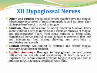 XII Hypoglossal Nerves
 Origin and course: hypoglossal nerves mainly serve the tongue.
Fibers arise by a series of roots from medulla and exit from skull
via hypoglossal canal to travel to tongue.
 Function: Mixed nerves, but primarily motor in function. Carry
somatic motor fibers to intrinsic and extrinsic muscles of tongue,
and proprioceptor fibers from same muscles to brain stem.
Hypoglossal nerve control allows tongue movements that mix
and manipulate food during chewing, and contribute to
swallowing and speech.
 Clinical testing: Ask subject to protrude and retract tongue.
Note any deviations in position.
 Applied Anatomy:- Damage to hypoglossal nerves causes
difficulties in speech and swallowing. If both nerves are
impaired, the person cannot protrude tongue. If only one side is
affected, tongue deviates toward affected side.
 