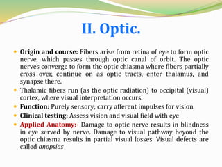 II. Optic.
 Origin and course: Fibers arise from retina of eye to form optic
nerve, which passes through optic canal of orbit. The optic
nerves converge to form the optic chiasma where fibers partially
cross over, continue on as optic tracts, enter thalamus, and
synapse there.
 Thalamic fibers run (as the optic radiation) to occipital (visual)
cortex, where visual interpretation occurs.
 Function: Purely sensory; carry afferent impulses for vision.
 Clinical testing: Assess vision and visual field with eye
 Applied Anatomy:- Damage to optic nerve results in blindness
in eye served by nerve. Damage to visual pathway beyond the
optic chiasma results in partial visual losses. Visual defects are
called anopsias
 