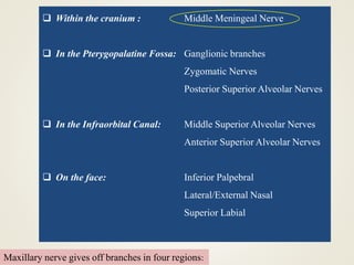 Maxillary nerve gives off branches in four regions:
 Within the cranium : Middle Meningeal Nerve
 In the Pterygopalatine Fossa: Ganglionic branches
Zygomatic Nerves
Posterior Superior Alveolar Nerves
 In the Infraorbital Canal: Middle Superior Alveolar Nerves
Anterior Superior Alveolar Nerves
 On the face: Inferior Palpebral
Lateral/External Nasal
Superior Labial
 