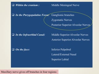 Maxillary nerve gives off branches in four regions:
 Within the cranium : Middle Meningeal Nerve
 In the Pterygopalatine Fossa: Ganglionic branches
Zygomatic Nerves
Posterior Superior Alveolar Nerves
 In the Infraorbital Canal: Middle Superior Alveolar Nerves
Anterior Superior Alveolar Nerves
 On the face: Inferior Palpebral
Lateral/External Nasal
Superior Labial
 