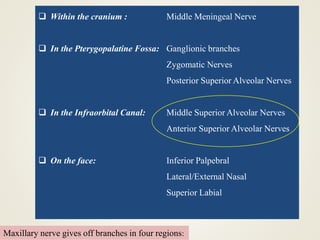 Maxillary nerve gives off branches in four regions:
 Within the cranium : Middle Meningeal Nerve
 In the Pterygopalatine Fossa: Ganglionic branches
Zygomatic Nerves
Posterior Superior Alveolar Nerves
 In the Infraorbital Canal: Middle Superior Alveolar Nerves
Anterior Superior Alveolar Nerves
 On the face: Inferior Palpebral
Lateral/External Nasal
Superior Labial
 