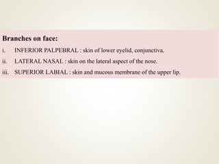 Branches on face:
i. INFERIOR PALPEBRAL : skin of lower eyelid, conjunctiva.
ii. LATERAL NASAL : skin on the lateral aspect of the nose.
iii. SUPERIOR LABIAL : skin and mucous membrane of the upper lip.
 