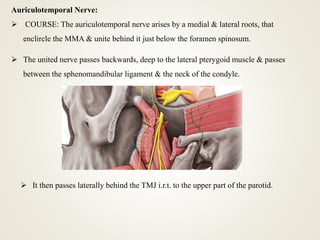 Auriculotemporal Nerve:
 COURSE: The auriculotemporal nerve arises by a medial & lateral roots, that
enclircle the MMA & unite behind it just below the foramen spinosum.
 The united nerve passes backwards, deep to the lateral pterygoid muscle & passes
between the sphenomandibular ligament & the neck of the condyle.
 It then passes laterally behind the TMJ i.r.t. to the upper part of the parotid.
 