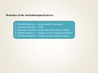 Branches of the Auriculotemporal nerve:
1. Parotid branches-----secretomotor, vasomotor.
2. Articular branches--- TMJ.
3. Auricular branches---to the skin of the helix & tragus.
4. Meatal branches----- Meatus of the tympanic membrane
5. Terminal branches----Scalp over the temporal region
 
