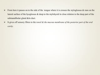 From here it passes on to the side of the tongue where it is crosses the styloglossus & runs on the
lateral surface of the hyoglossus & deep to the mylohyoid in close relation to the deep part of the
submandibular gland &its duct.
 It gives off sensory fibres to the tonsil & the mucous membrane of the posterior part of the oral
cavity.
 