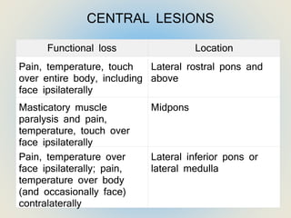 Functional loss Location
Pain, temperature, touch
over entire body, including
face ipsilaterally
Lateral rostral pons and
above
Masticatory muscle
paralysis and pain,
temperature, touch over
face ipsilaterally
Midpons
Pain, temperature over
face ipsilaterally; pain,
temperature over body
(and occasionally face)
contralaterally
Lateral inferior pons or
lateral medulla
CENTRAL LESIONS
 